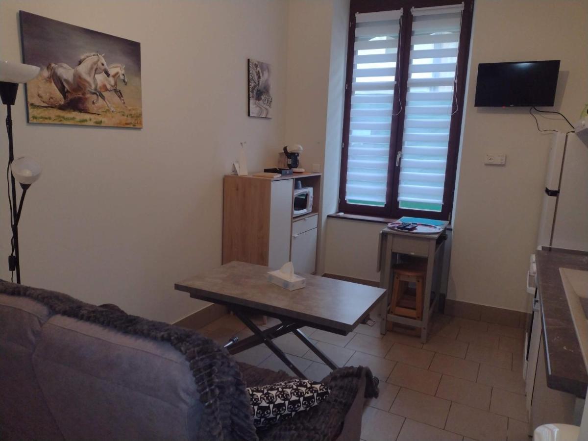 Appartement Rdc Chez Caroline Bourbonne-les-Bains Exterior foto